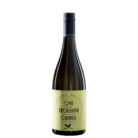 Traisental DAC Riesling "ONE THOUSAND GRAPES" 2022