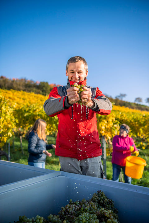 Unser Salon Wein 2025!